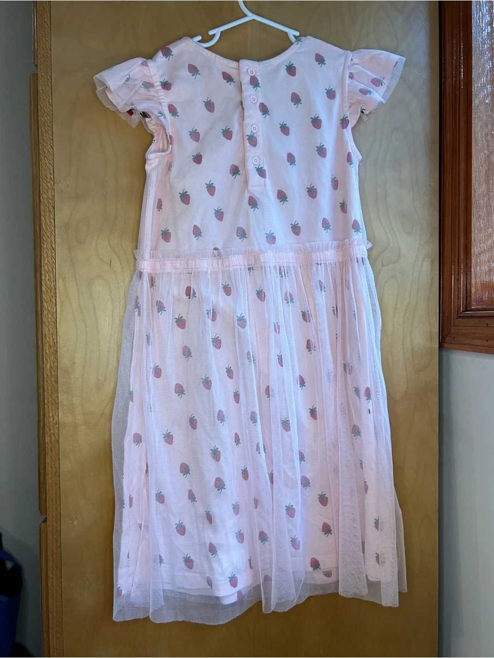 Hanna Andersson Pink Strawberry Tulle Overlay Dress